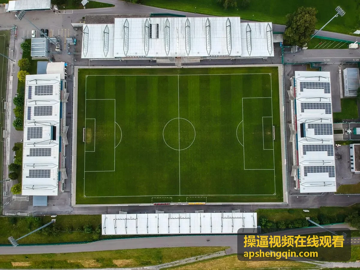 高清无码精选在线观看