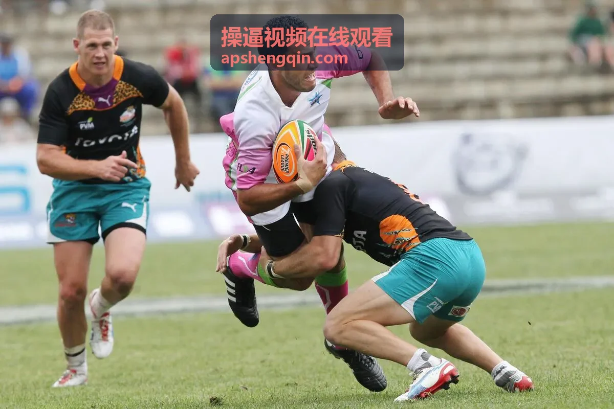 欧美私人影院在线播放